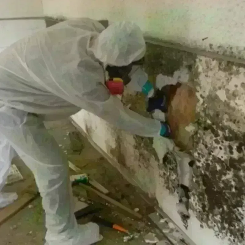 Mold Remediation and Removal in Fairland, OK