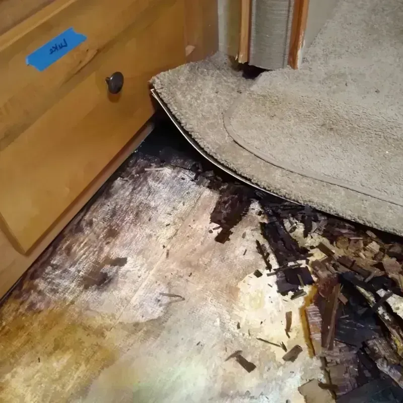 Best Wood Floor Water Damage Service in Fairland, OK